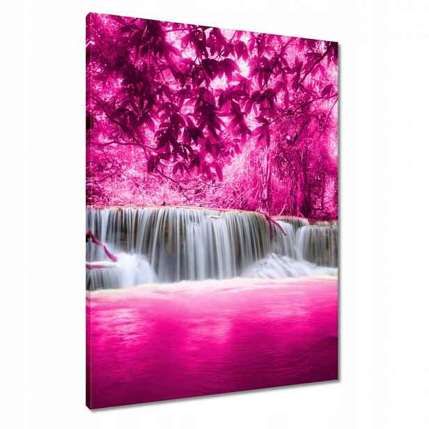 Obrazy 60x80 Růžový vodopád Krajina