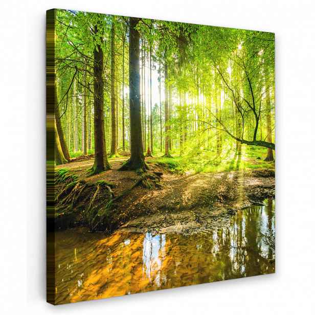 MuchoWow OBRAZ NA PLÁTNĚ Les - Krajina - Voda - Stromy - Slunce - Zeleň - Příroda 50x50 cm