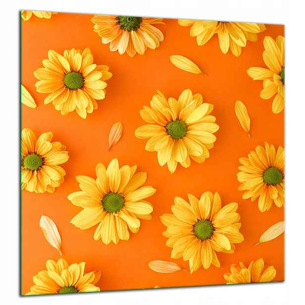 Skleněná Ochranná Deska Panel Lepidlo 60x65 Květiny