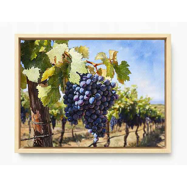 Obraz Rám Americký Box Hroznové Víno Vinná Réva Podzim Krajina 80x60