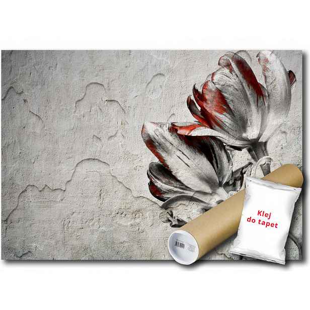 Vinylová Fototapeta Květina Tulipán Stěna 254x184