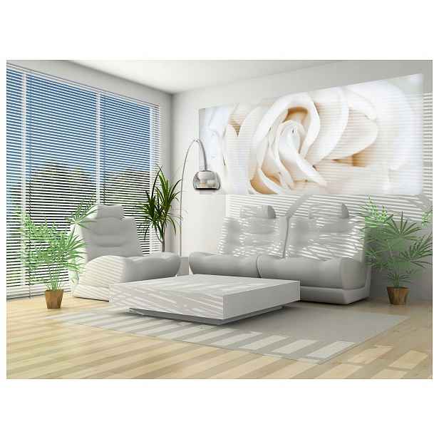 Vliesová fototapeta Bílé květy Elegance a Harmonie 250x104 lepidlo
