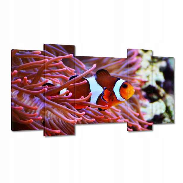Obrazy 120x65 Oranžová rybka Rafa