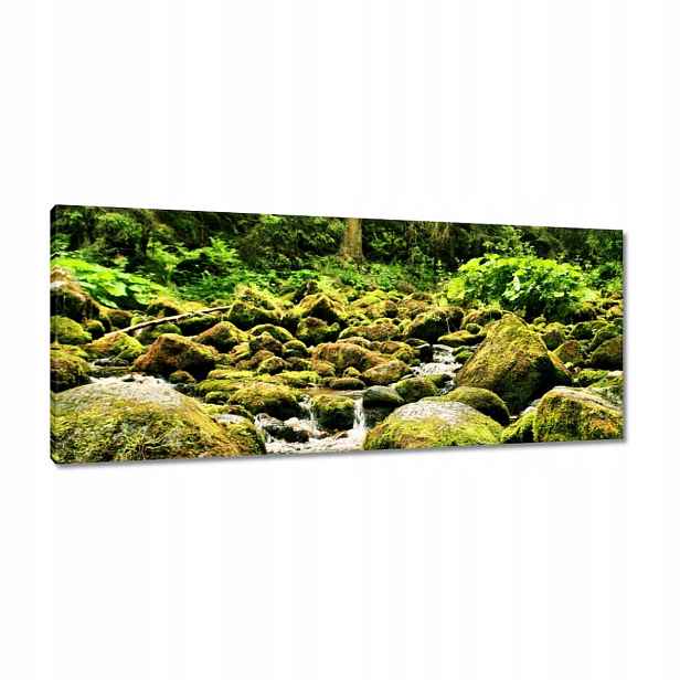 Obrazy 100x40 Tatry Polské hory Pohled