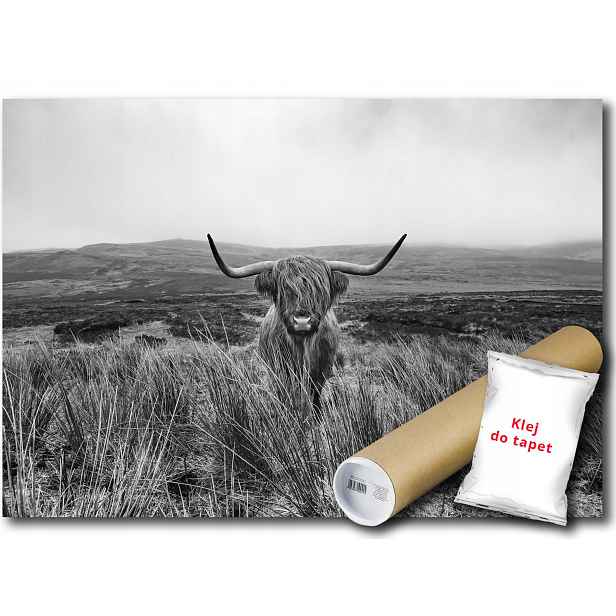 Vinylová fototapeta Highland kráva hory 152x104