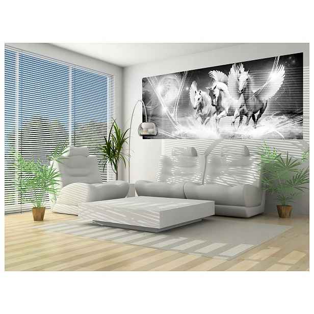 Fototapeta Bílí koně Energie noci a grácie na zdi 250x104 lepidlo