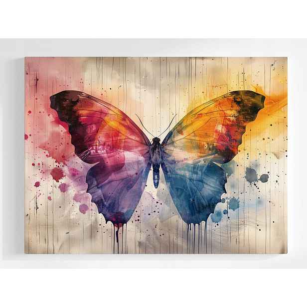 Obraz Na Plátně Canvas Akvarel Hmyz Barevný Motýl Retro Vintage 80x60
