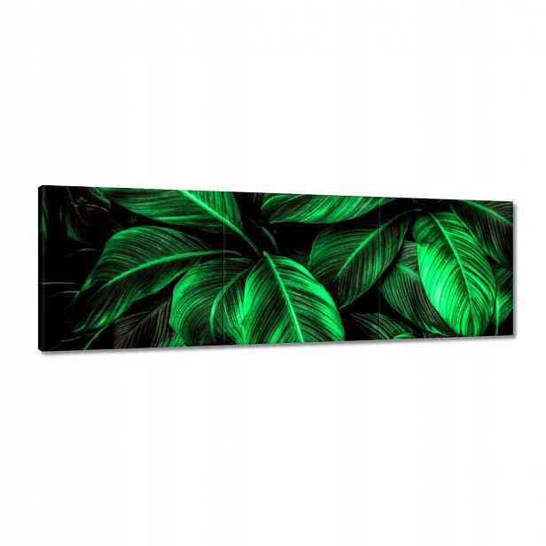 Obrazy 120x40 Zelené listy