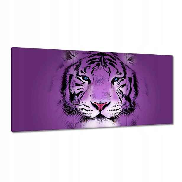 Obrazy 120x60 Fialový obrázek tygra