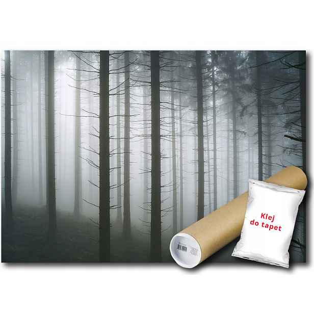Fototapeta Flizelina Les Mlha Stromy 368x254