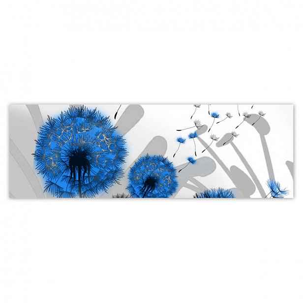 Fototapety 200x66 Modré foukače