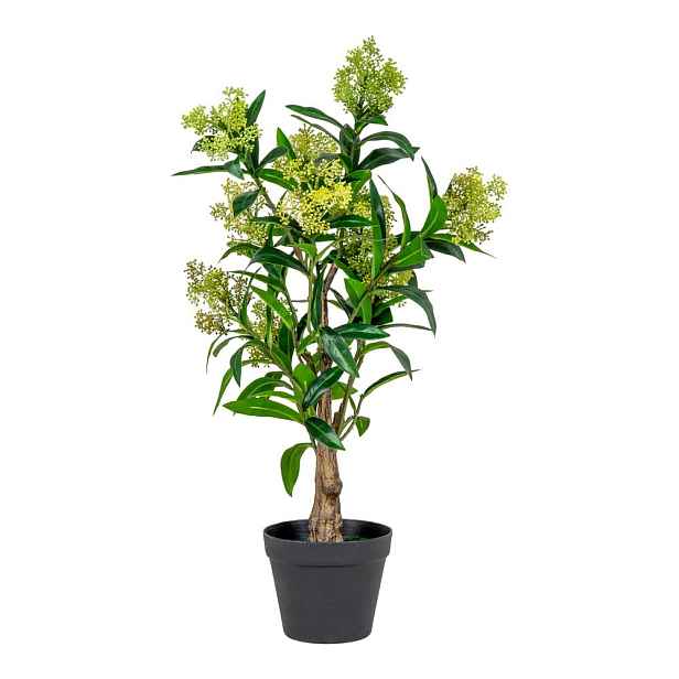Umělá rostlina Skimmia – House Nordic