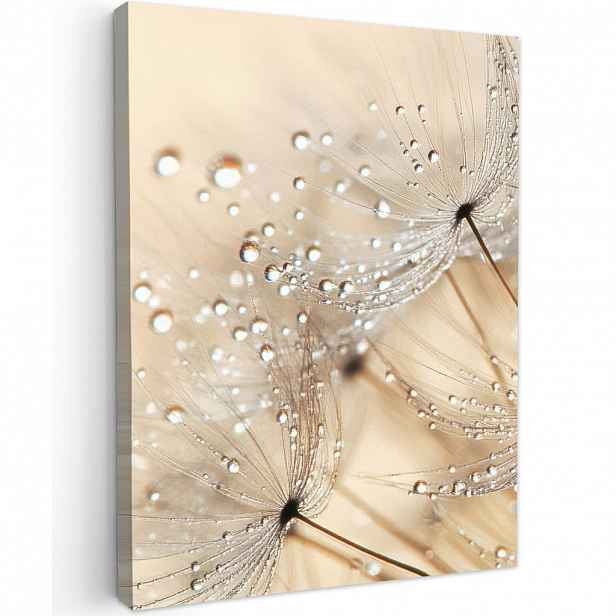 MuchoWow OBRAZ NA PLÁTNĚ Pampeliška - Abstraktní - Příroda - Béžová 60x80 cm