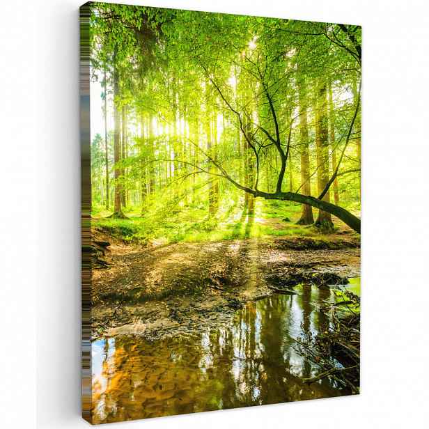 MuchoWow OBRAZ NA PLÁTNĚ Les - Krajina - Voda - Stromy - Slunce - Zeleň - Příroda 60x80 cm