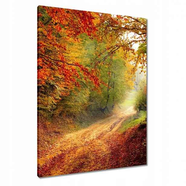 Obrazy 60x80 Cesta v lese podzim