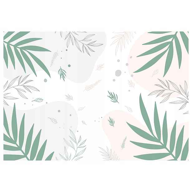 Fototapeta Listy Palmy Monstera Eukalyptus na bílém pozadí 250x175 lepidlo
