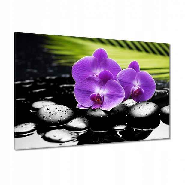 Obrazy 120x80 Fialové orchideje