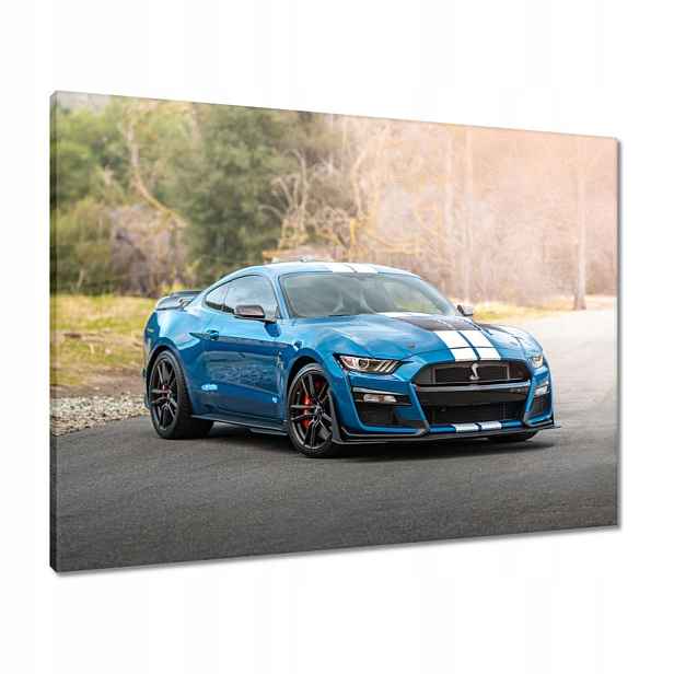 Obrazy 80x60 Modrý Ford Mustang