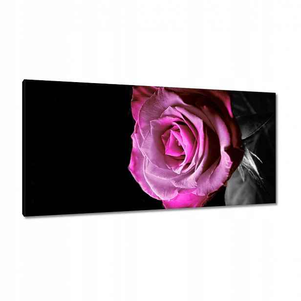 Obrazy 115x55 Fialová růžička