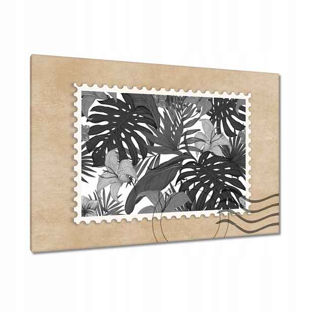Obrazy 90x60 Černobílá monstera