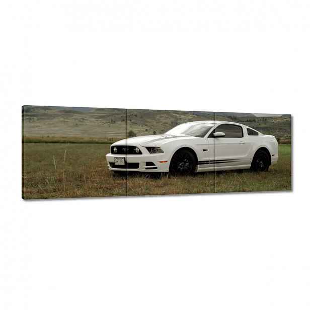 Obrazy 120x40 Bílý Ford Mustang
