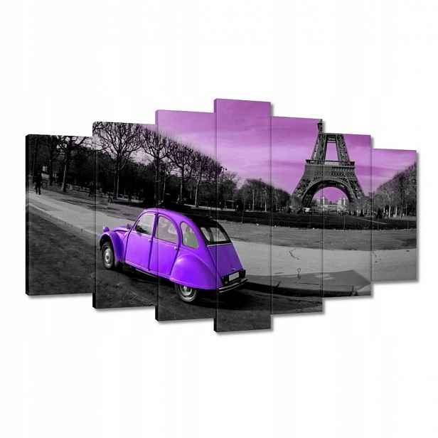Obrazy 140x80 Fialová Citroen