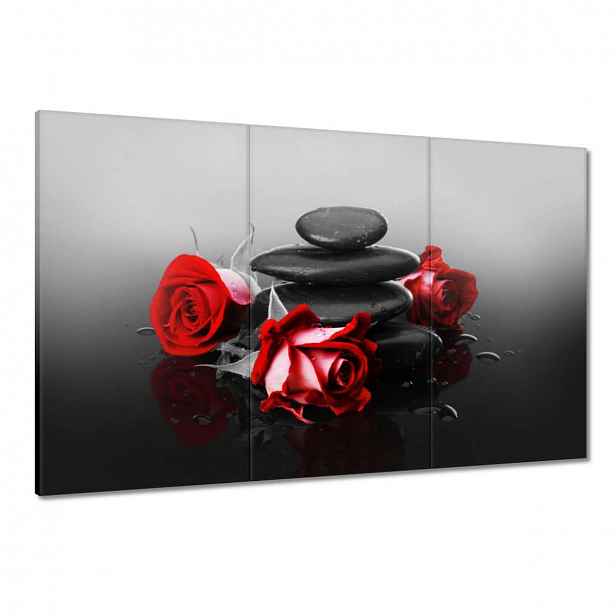 Obrazy 120x80 Červené růže Spa