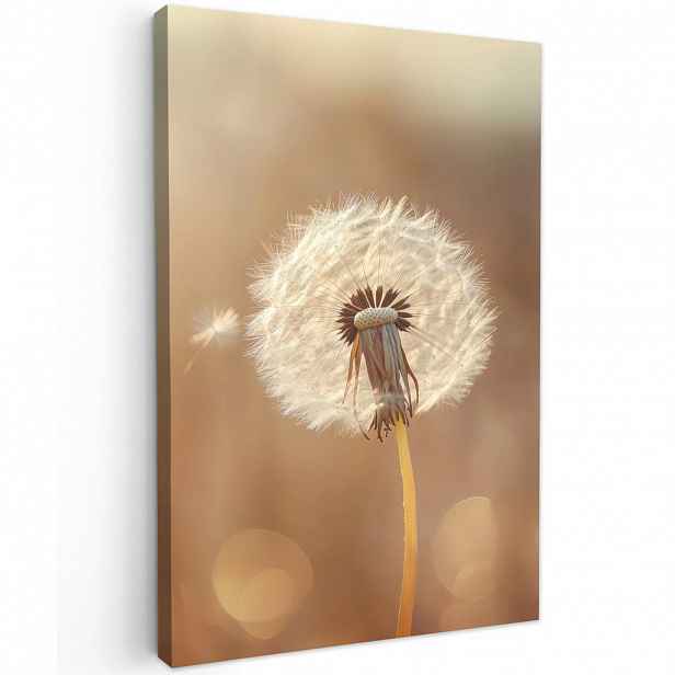 MuchoWow OBRAZ NA PLÁTNĚ Pampeliška - Béžová - Příroda - Květina 40x60 cm