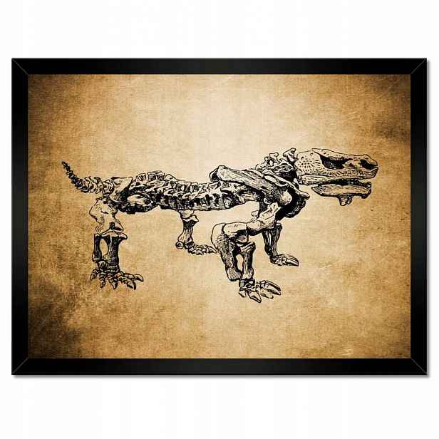 Plakáty v rámu 40x30 Dinosaurus Prehistorie Dino
