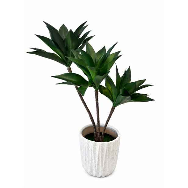 Umělá dracaena sukulent v květináči 55 cm