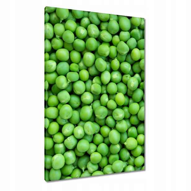 Obrazy 60x90 Zelený hrášek