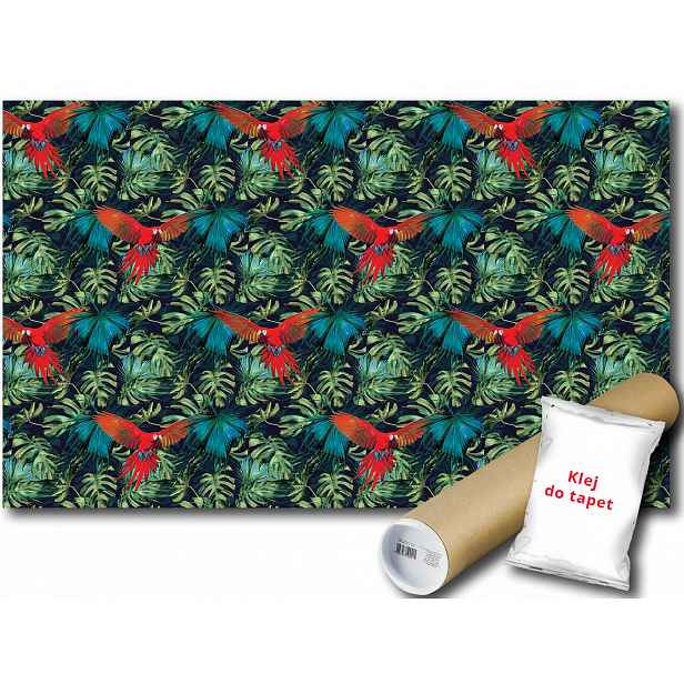 Fototapeta Papuga Ptak 23D V8 368x254 F11088