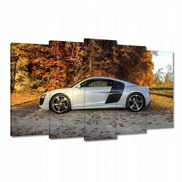 Obrazy 100x60 Podzimní Audi Auto