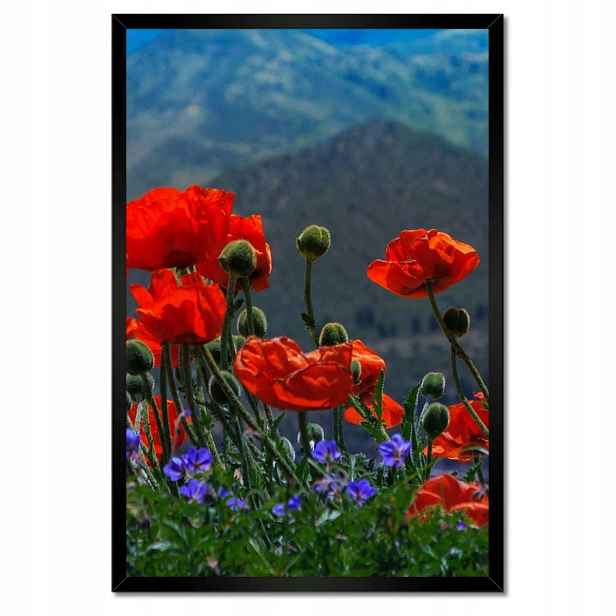 Plakáty v rámu 40x60 Červené máky Květiny