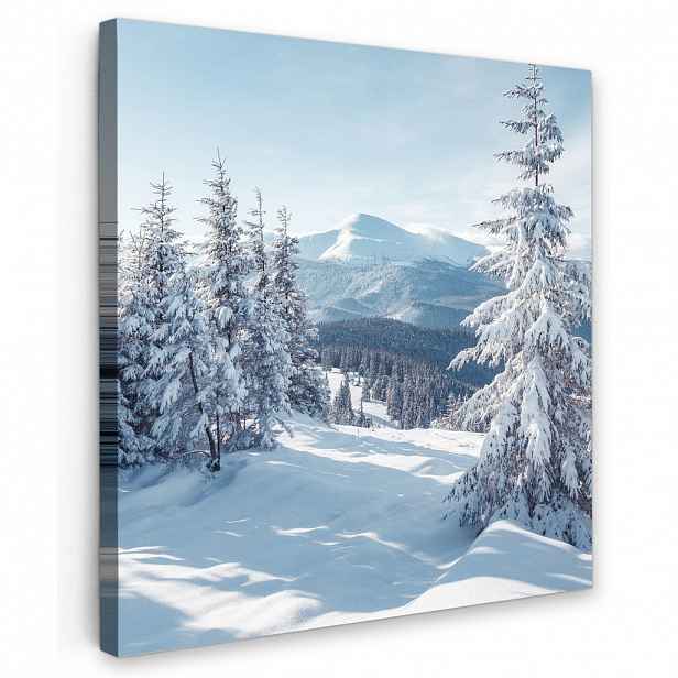 MuchoWow OBRAZ NA PLÁTNĚ Zimní krajina - Příroda - Hory - Stromy - Sníh 50x50 cm
