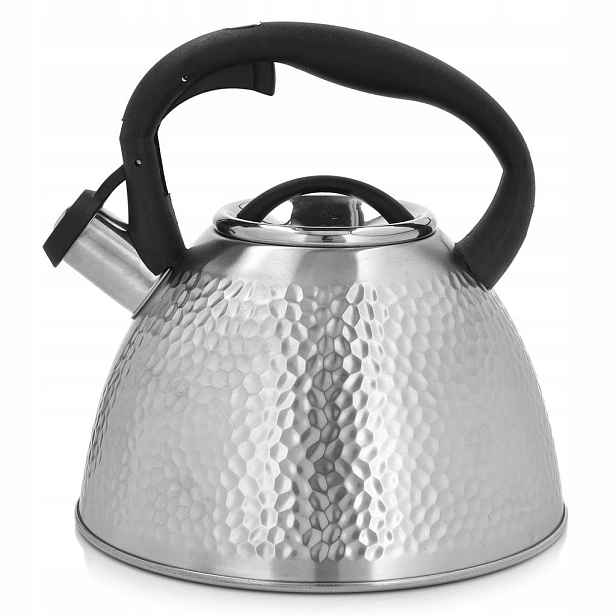 Konvice Ambition 2,6 l stříbrná