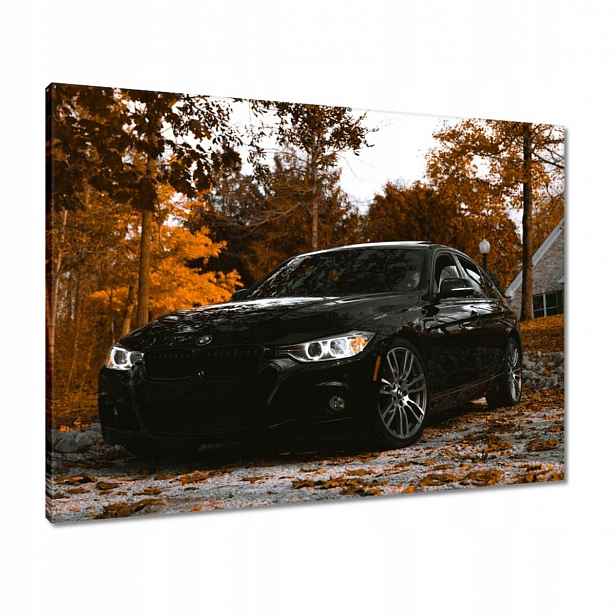 Černé obrazy 80x60 Bmw Podzim
