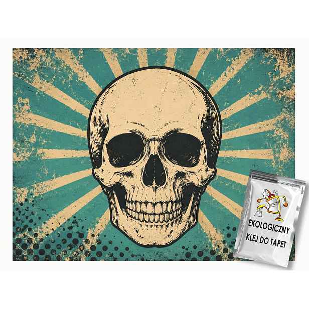 Fototapeta Flizelina Komiks Lebka Grunge Vintage Retro 416x254 130g