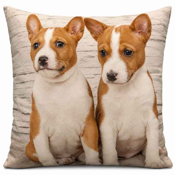 Povlak na polštář DOG Basenji 40x40 cm  Mybesthome