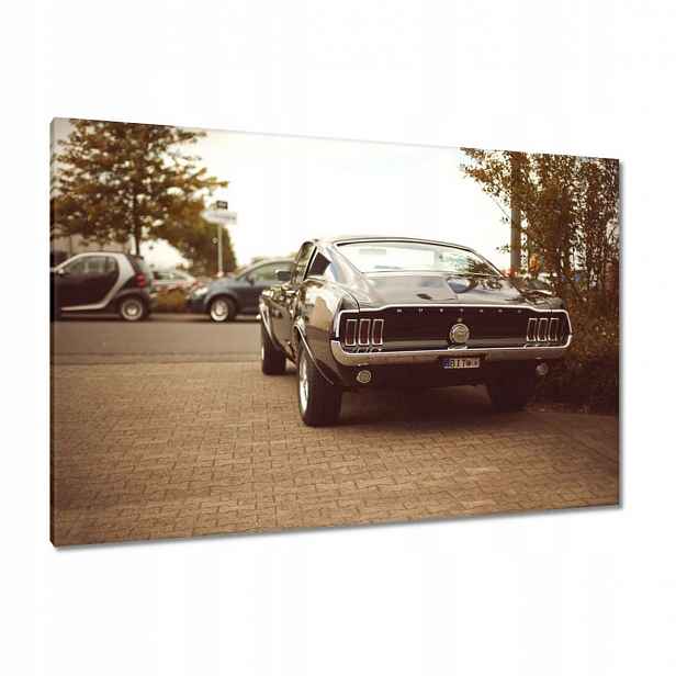 Obrazy 120x80 Ford Mustang Černobílý