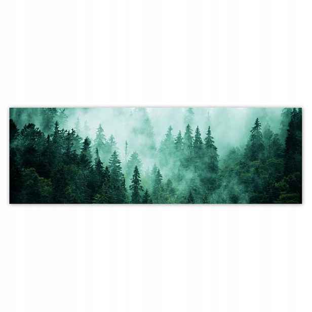Fototapety 200x66 Les Mlha Krajina Cestování