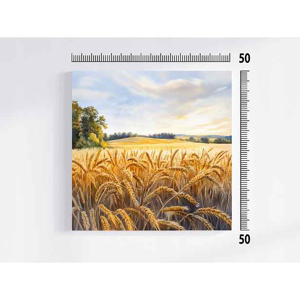 Obraz Na Plátně Obraz Na Plátně Výhled Krajina Venkov Polí Zrní Klasy 50x50