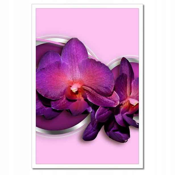 Plakáty v rámu 40x60 Fialový orchidej