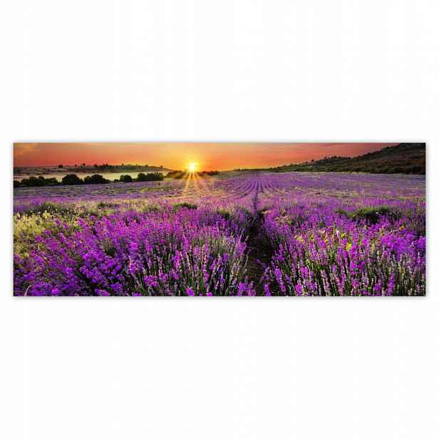 Fototapety flizelina 250x93 Pole levandule Západ