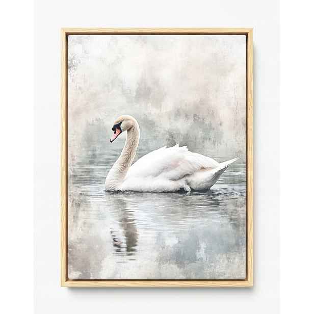Obraz Rám Americká Krabička Příroda Jezero Rybník Pták Labuť Mlha Šedá 60x80