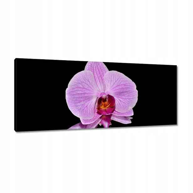 Obrazy 100x40 Fialový orchidej