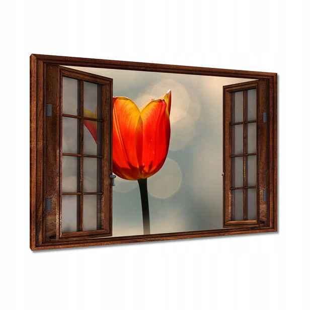 Obrazy 90x60 Oranžový tulipán