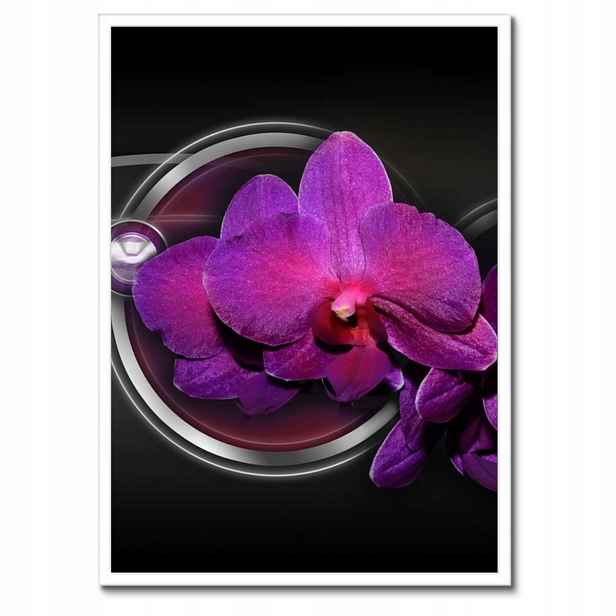 Plakáty v rámu 50x70 Fialová orchidej