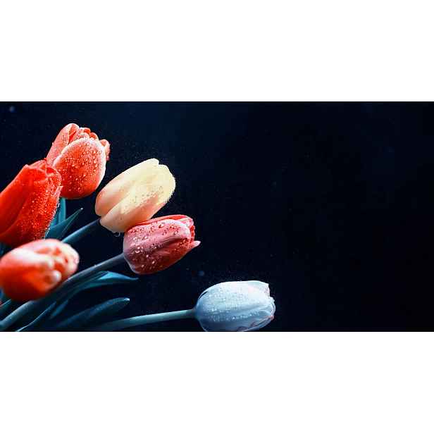 Kryt na radiátor pro radiátor Dekorace do pokoje Tulipány Maskovačka 60x100