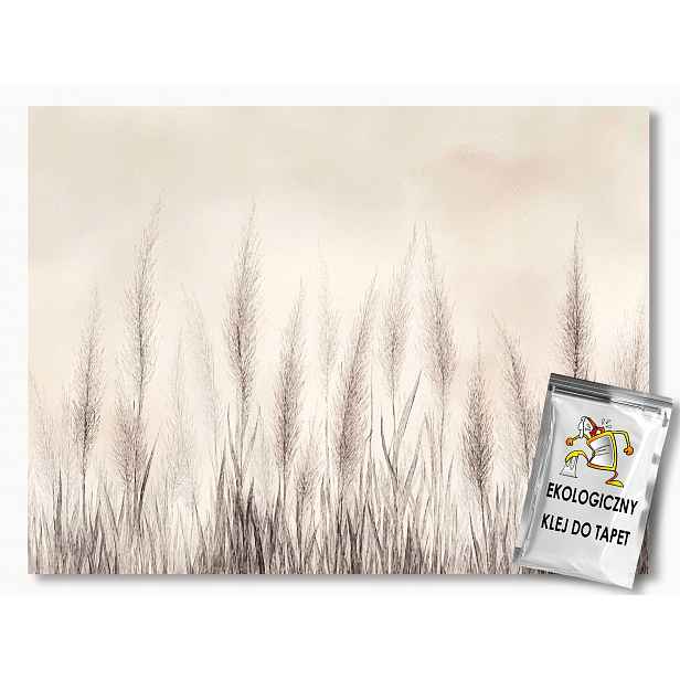Fototapeta Flizelina Příroda Tráva Trávy Béžová Hnědá 312x219 130g